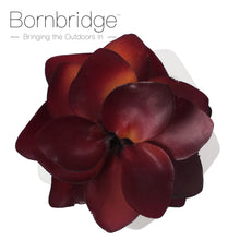 Load image into Gallery viewer, Bornbridge - Artificial Kalanchoe Adans Succulent
