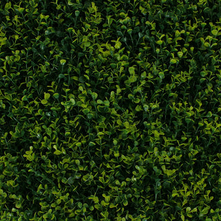 Boxwood Greenery Panels