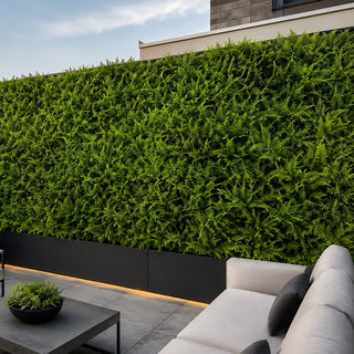 Lady Fern Greenery Panels