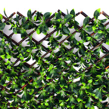 Load image into Gallery viewer, Gardenia Leaf Greenery Trellis
