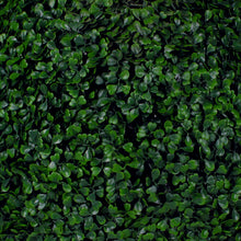 Load image into Gallery viewer, Rectangle Boxwood Hedge Wall
