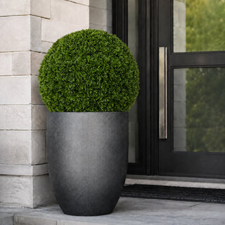 15" Large Cypress Topiary Ball