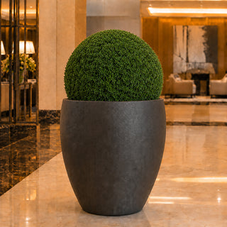 19" XL Cypress Topiary Ball