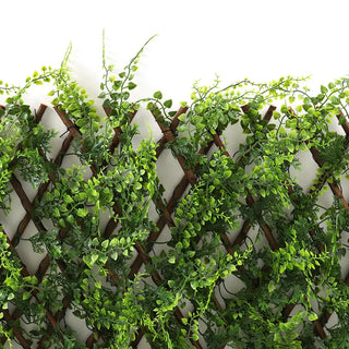 Juniper Greenery Trellis