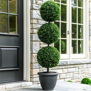 Elegant Triple Ball Topiary Tree at Home Entrance