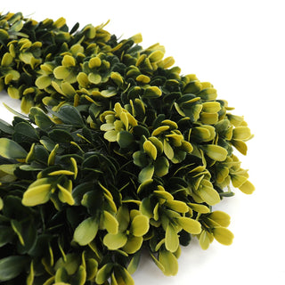 Golden Boxwood Wreath - Medium