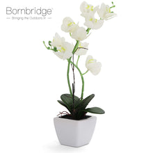 Load image into Gallery viewer, White Artificial Orchid - Medium
