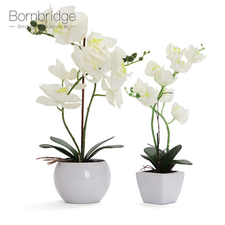 White Artificial Orchid - Medium