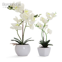 Load image into Gallery viewer, White Artificial Orchid - Medium
