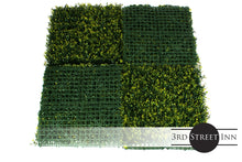 Load image into Gallery viewer, Golden Boxwood Greenery Panel
