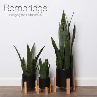 Small Artificial Snake Plant with Mid Century Plant Stand