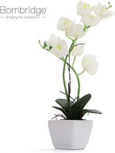 Load image into Gallery viewer, White Artificial Orchid - Medium
