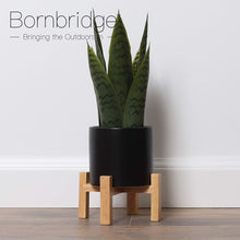 Load image into Gallery viewer, Small Artificial Snake Plant with Mid Century Plant Stand
