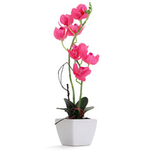 Load image into Gallery viewer, Hot Pink Artificial Orchid - Medium
