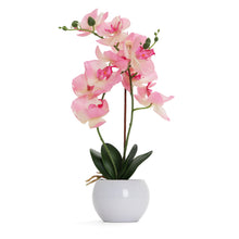 Load image into Gallery viewer, Light Pink Artificial Orchid - Large
