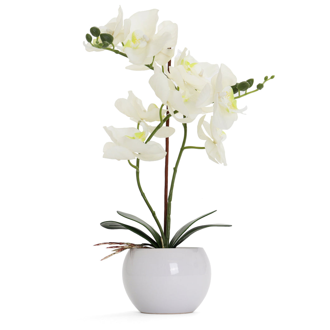 White Artificial Orchid - Large