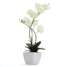 Load image into Gallery viewer, White Artificial Orchid - Medium
