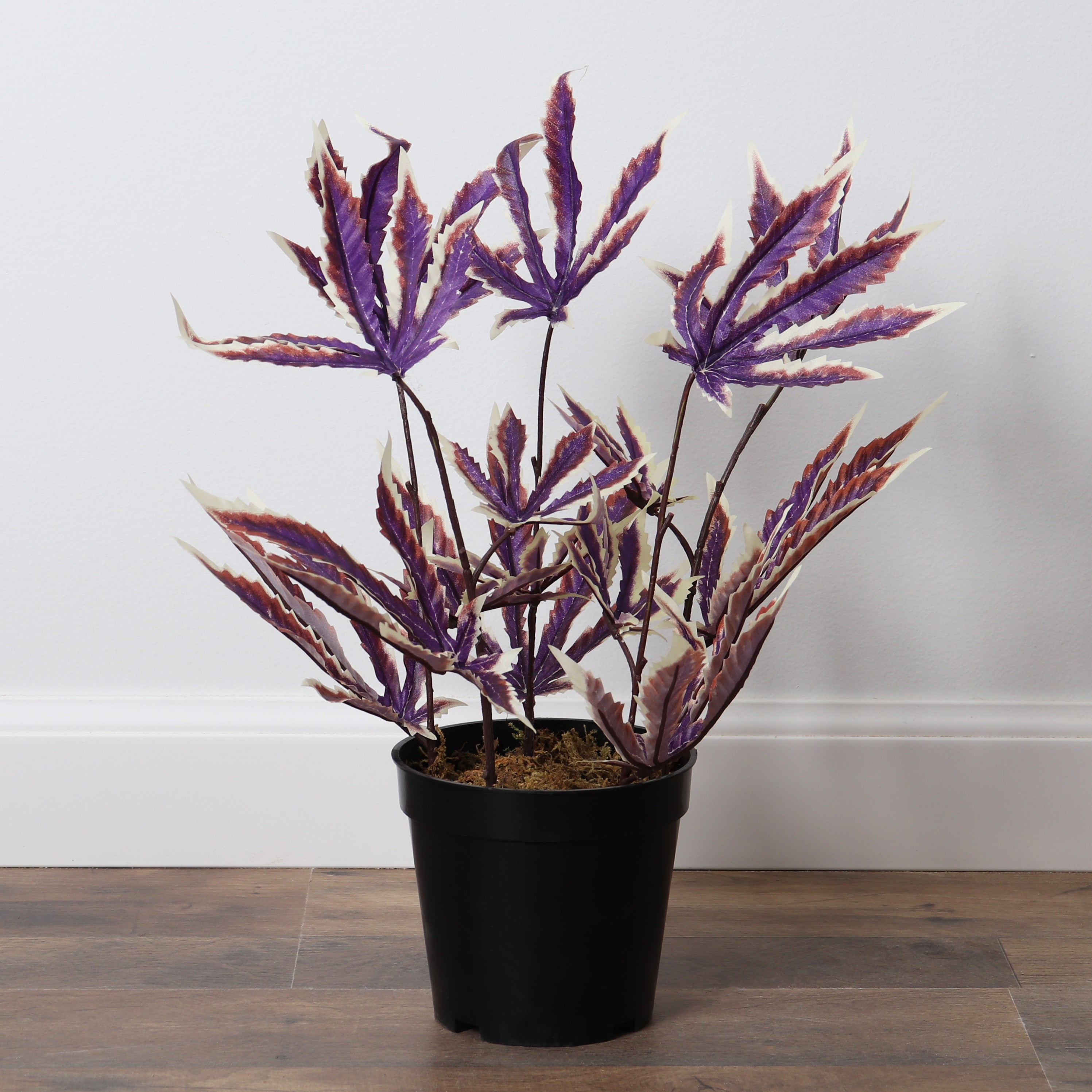 weed house plant Purple Haze Artificial Cannabis Plant – 3rd Street Inn Greenery