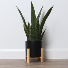 Load image into Gallery viewer, Medium Artificial Snake Plant with Mid Century Plant Stand
