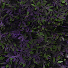 Load image into Gallery viewer, Purple Haze Cannabis Greenery Panel
