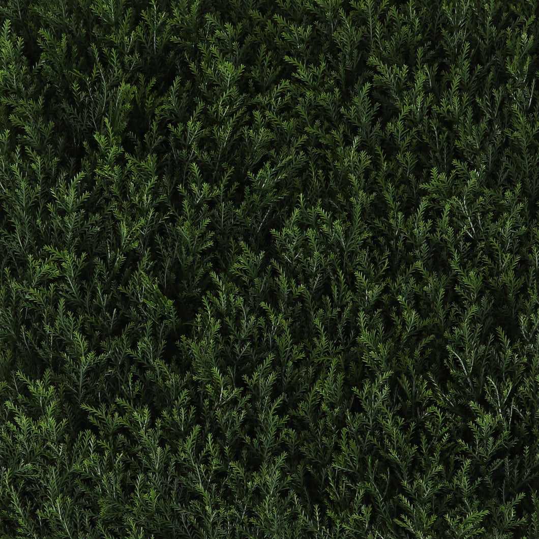 Wintergreen Greenery Panels