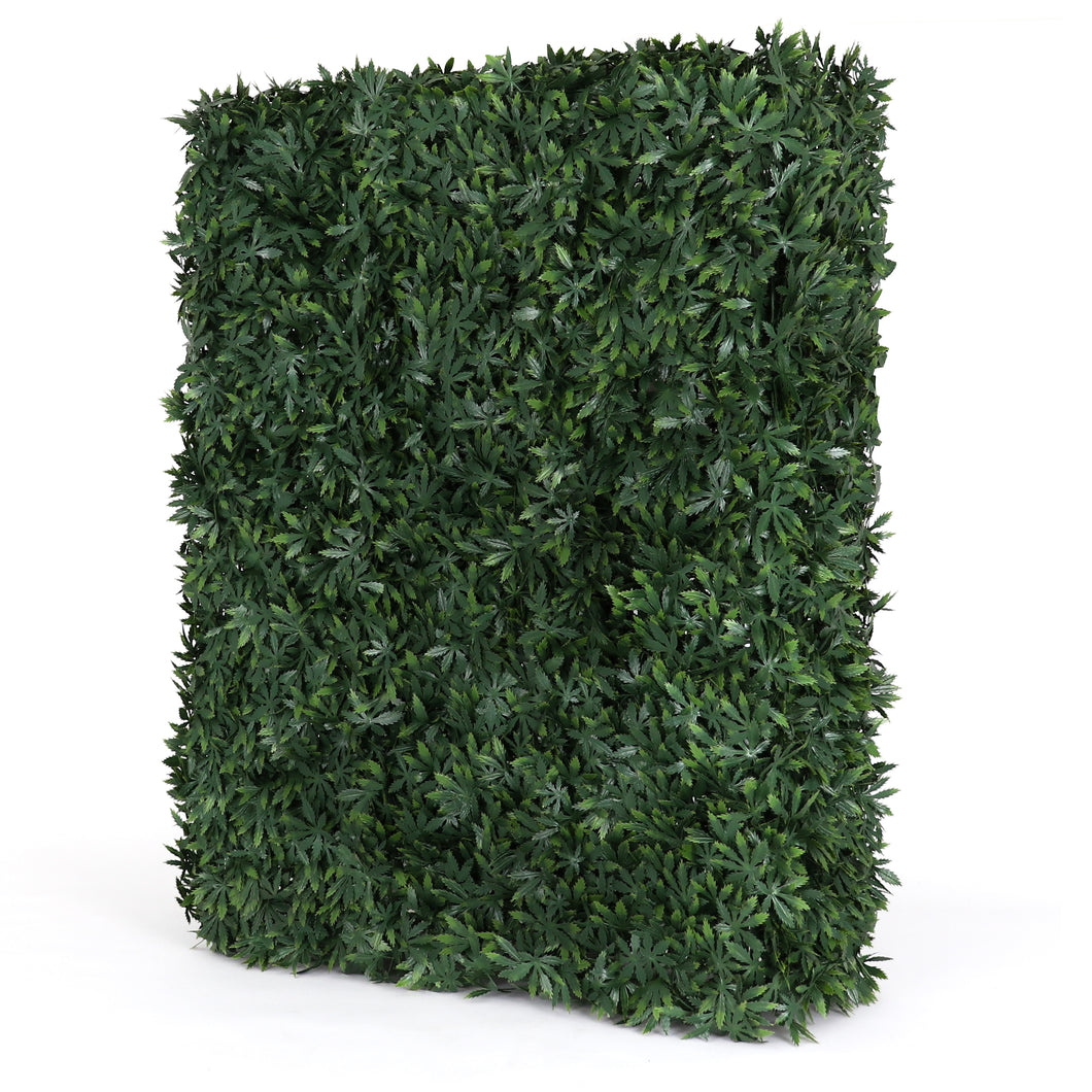 Rectangle Cannabis Hedge Wall
