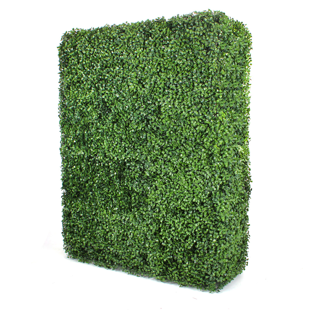 Rectangle Boxwood Hedge Wall
