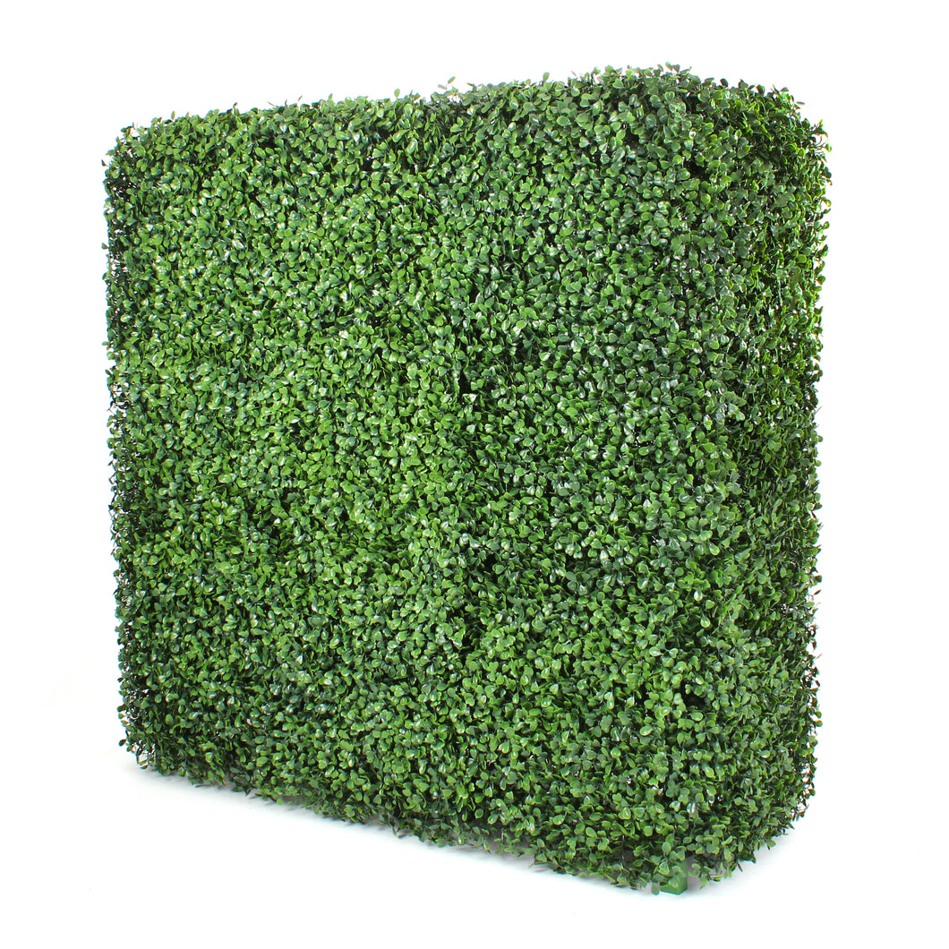 Square Boxwood Hedge Wall