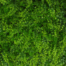 Load image into Gallery viewer, Juniper Greenery Panel
