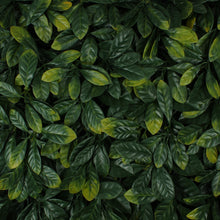 Load image into Gallery viewer, Laurel Leaf Greenery Panel
