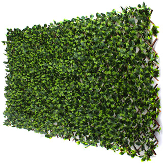 Gardenia Leaf Greenery Trellis