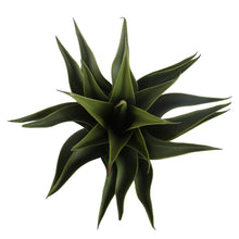 Load image into Gallery viewer, Artificial Agave - Black Planter
