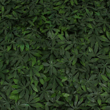 Load image into Gallery viewer, Cannabis Greenery Panel
